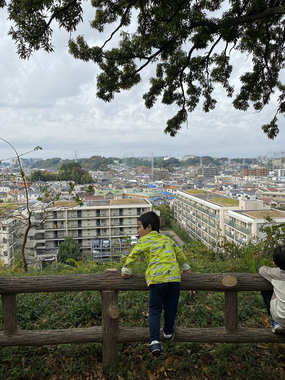 写真