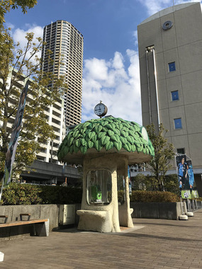 写真