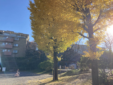 写真