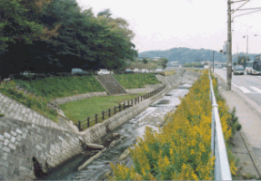 平瀬川（宮前区平地内）