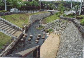 平瀬川（宮前区菅生2丁目地内）