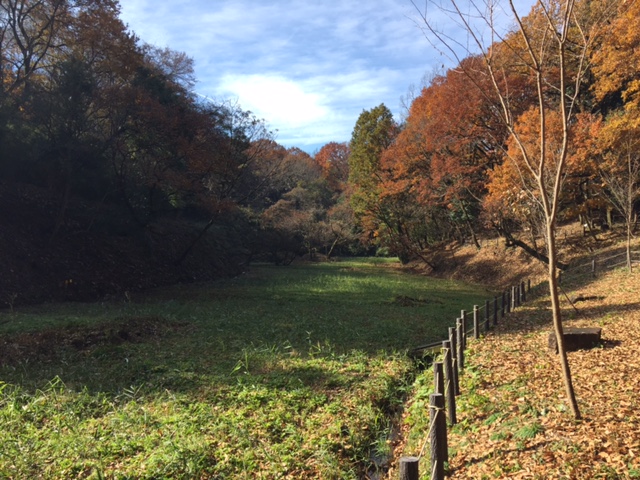 黒川海道特別緑地保全地区