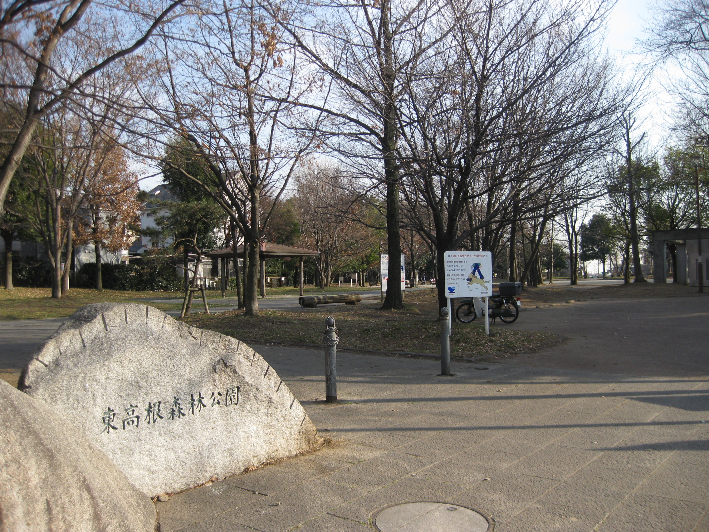 東高根森林公園。