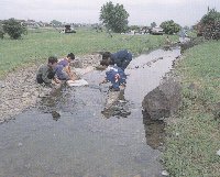 せせらぎと親子広場の小川