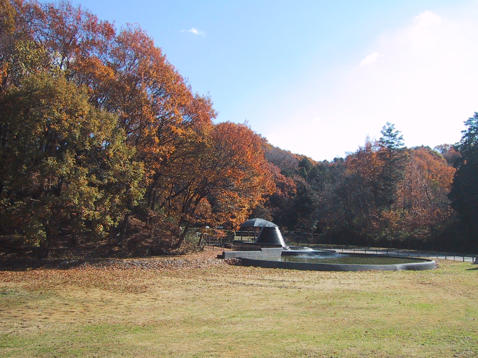 早野聖地公園写真