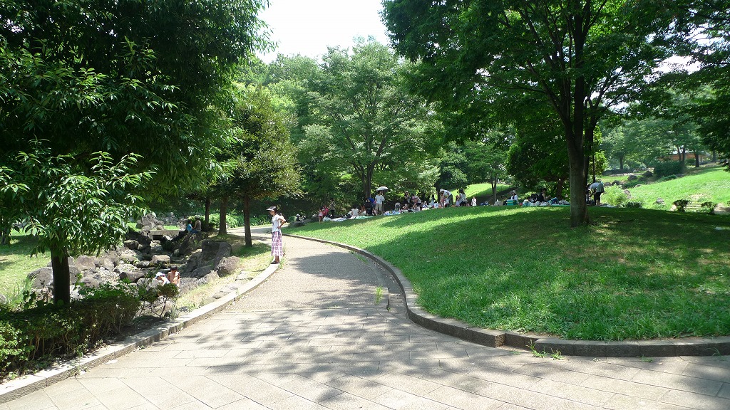入り口から、市制60周年を記念して計画された公園。流れや芝生広場があります。