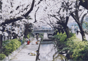 多摩区宿河原地内の参考写真