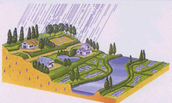 都市化による雨水流出の変化（開発前）