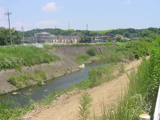鶴見川2