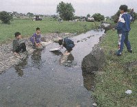 多摩川緑地