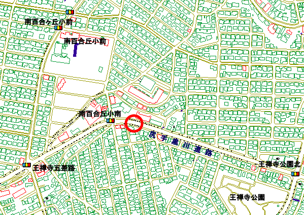 調査地点の拡大図