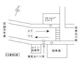 調査地点の拡大図