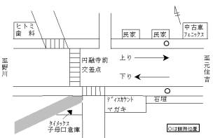 調査地点の拡大図