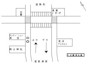 調査地点の拡大図