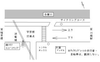 調査地点の拡大図