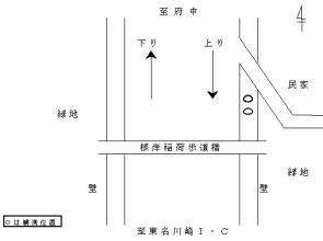 調査地点の拡大図