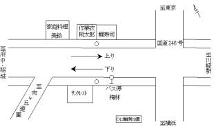 調査地点の拡大図