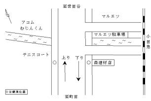 調査地点の拡大図