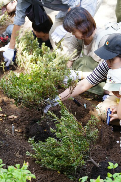一般植樹の様子(1)