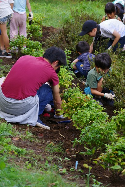 一般植樹の様子(2)