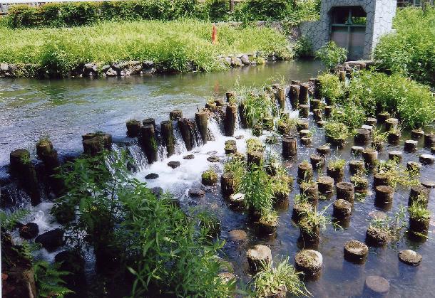 中野島側の「草堰」