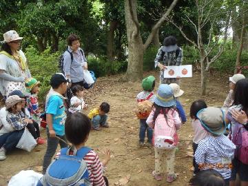 生き物の説明