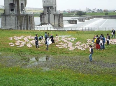 色輪っかつなぎ（二ヶ領せせらぎ館下河川敷、多摩区）