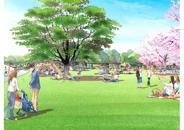 川崎市 等々力緑地再編整備実施計画改定骨子 案 の市民意見の募集について