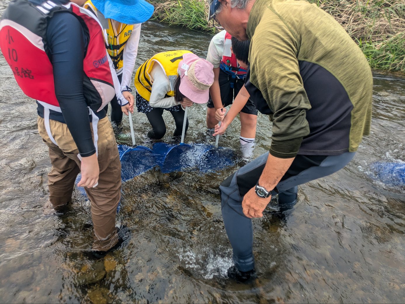 水たまキッズ活動の様子