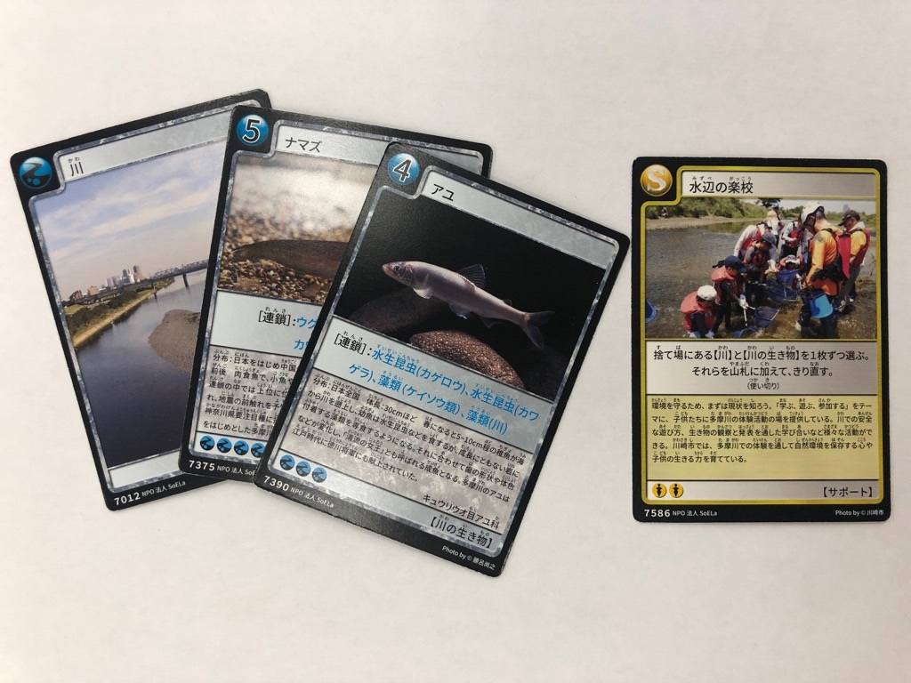 地球環境カードゲーム「マイアース」体験