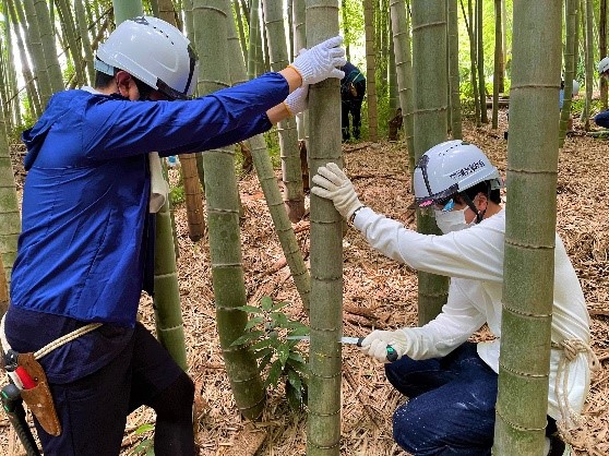 指導に従って竹の伐採をしている写真