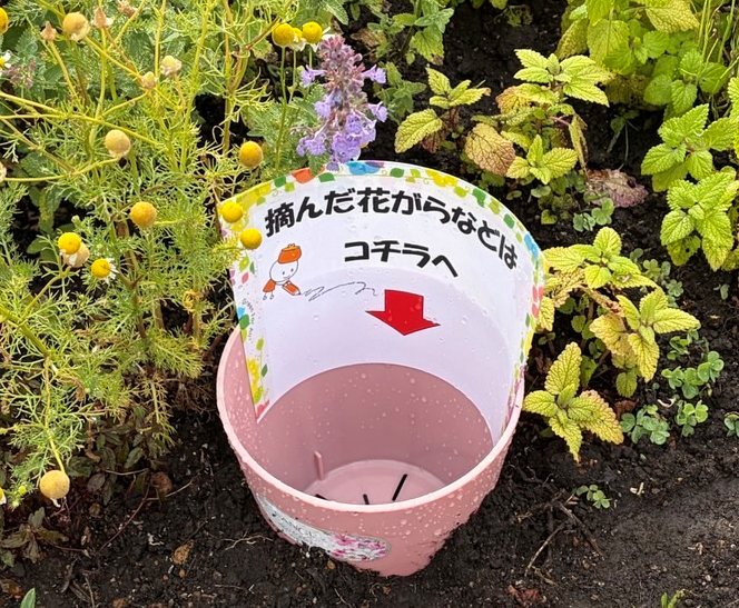 花ガラ入れの写真