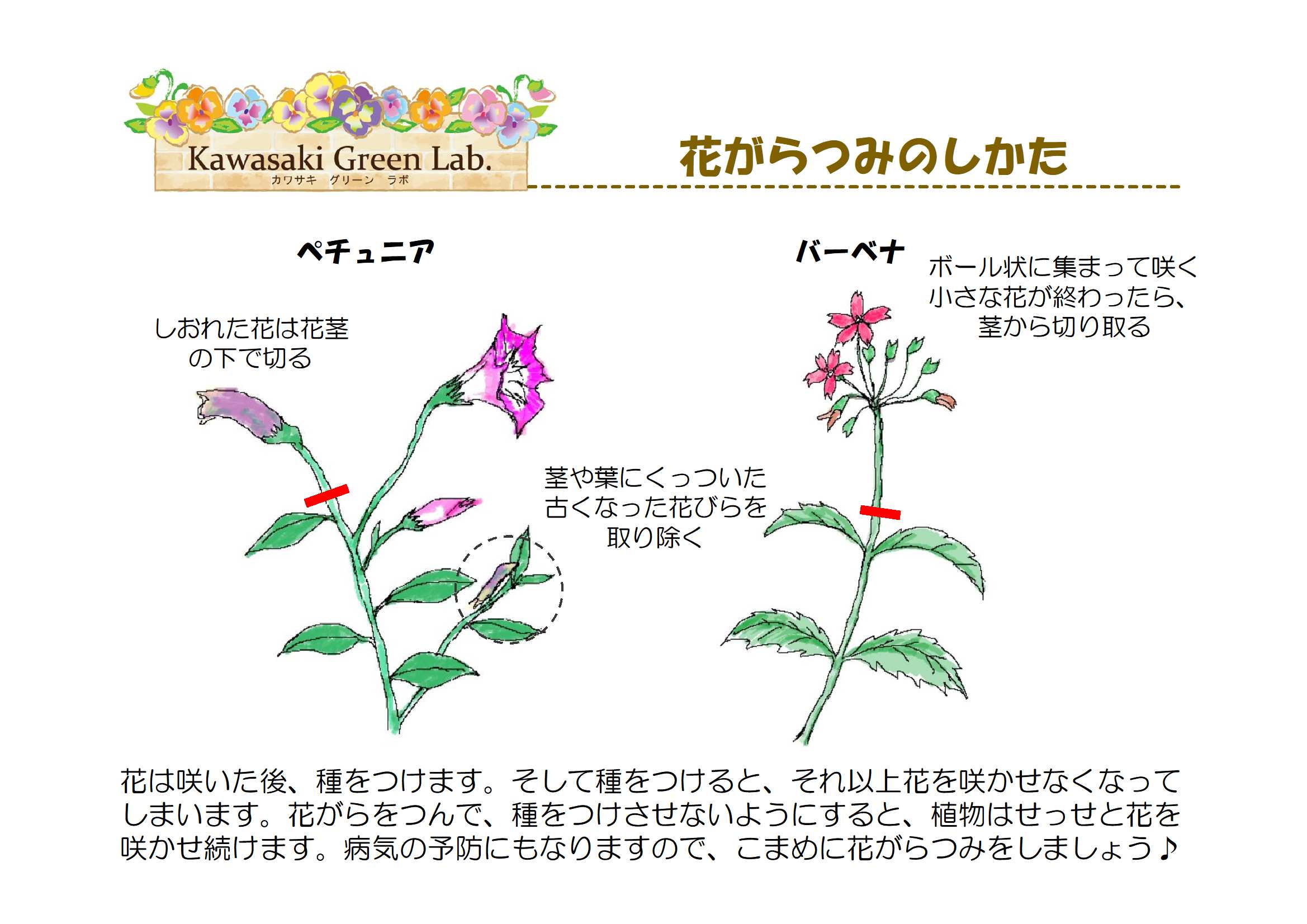 はながらつみのしかた