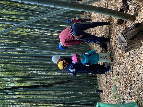 里山レンジャーの指導を受けてタケノコ駆除をする親子