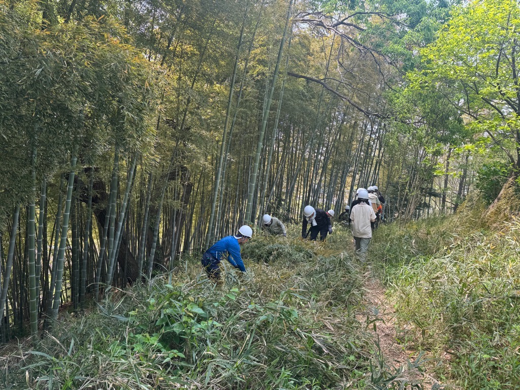 竹の葉を整理する参加者たち