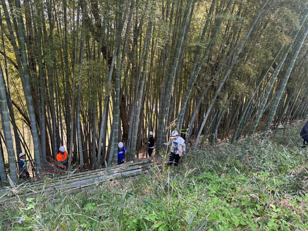 里山レンジャーの指導を受けてタケノコ駆除をする親子