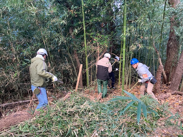 下草刈りをする参加者たち