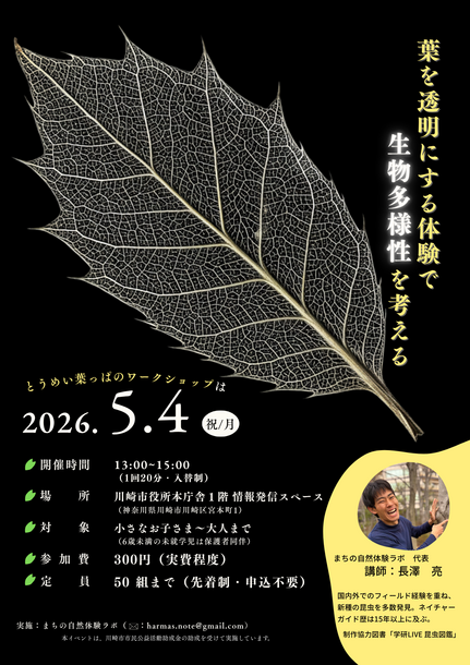 5月4日の葉脈標本づくりワークショップのチラシ