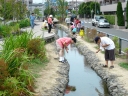 江川せせらぎ遊歩道写真6