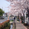 江川せせらぎ遊歩道写真3