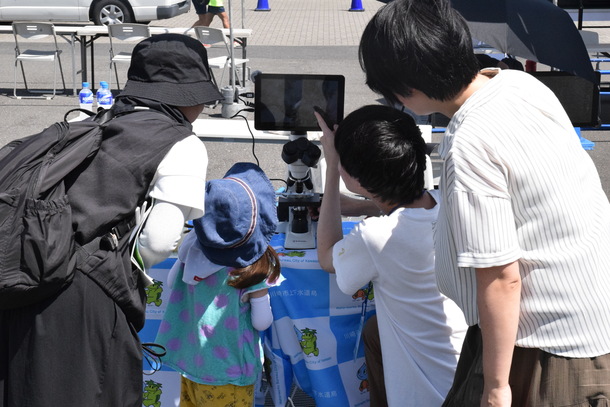 顕微鏡観察の様子