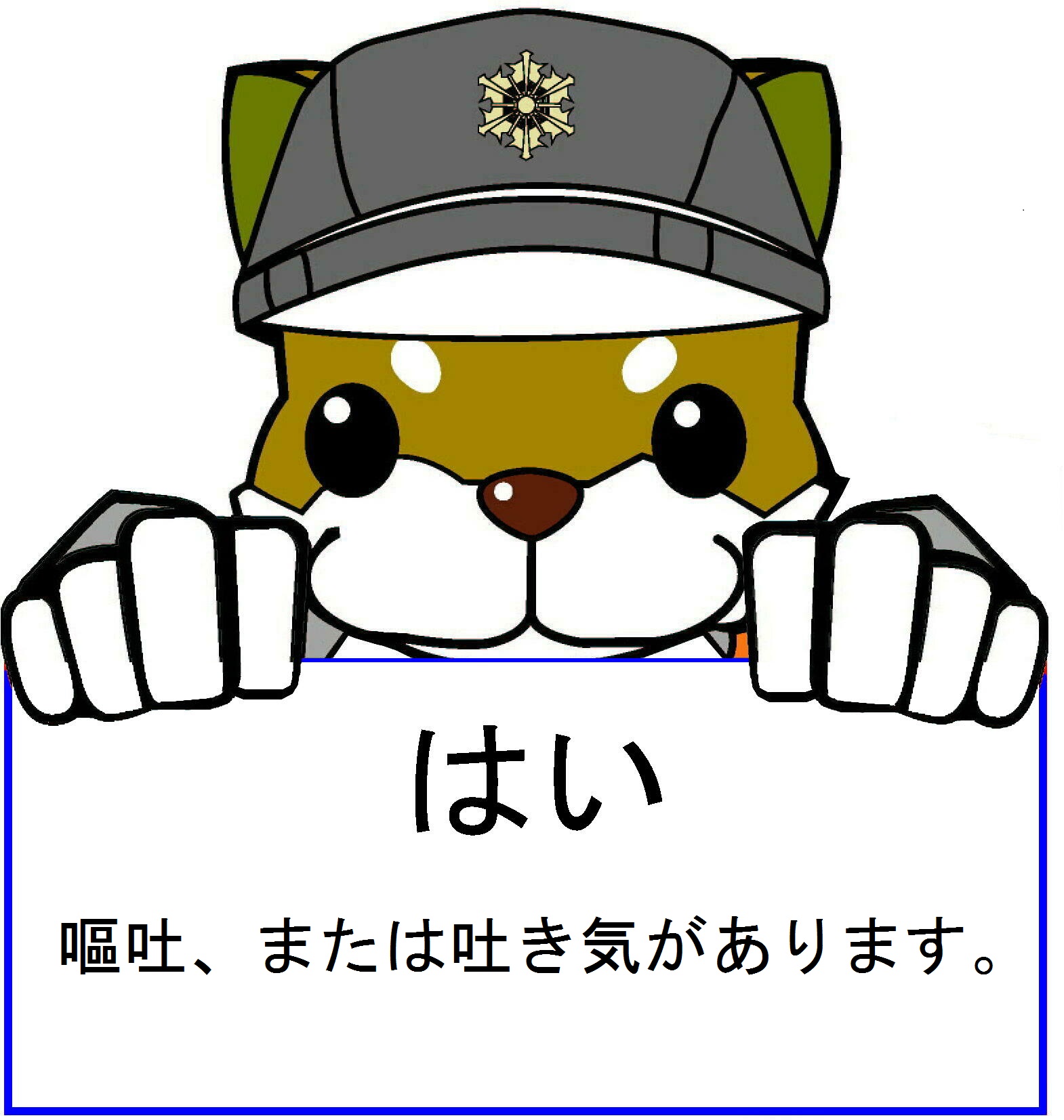 はい　嘔吐、または、吐き気があります。