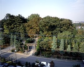 春日神社・薬師堂・常楽寺境内及びその周辺