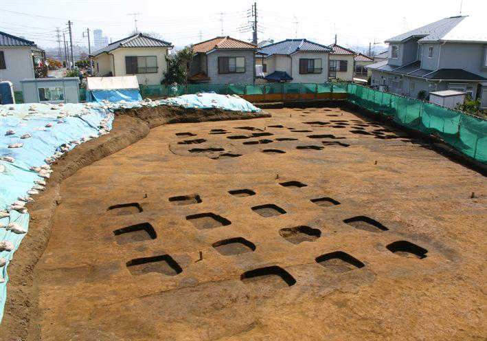 橘樹官衙遺跡群（正倉跡）