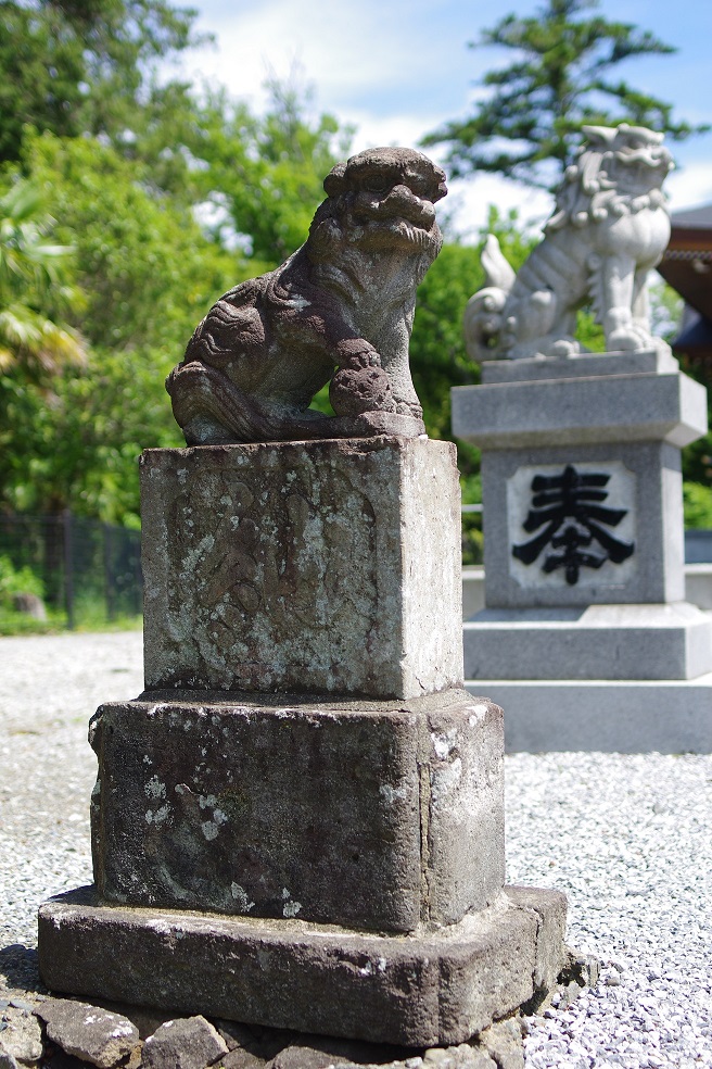 琴平神社本殿狛犬（左）