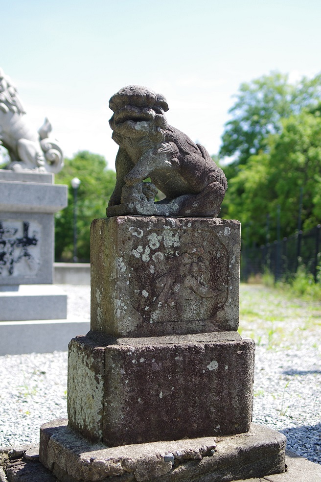 琴平神社本殿狛犬（右）