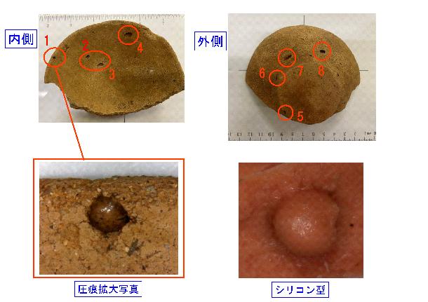 神庭遺跡出土土器の圧痕の画像