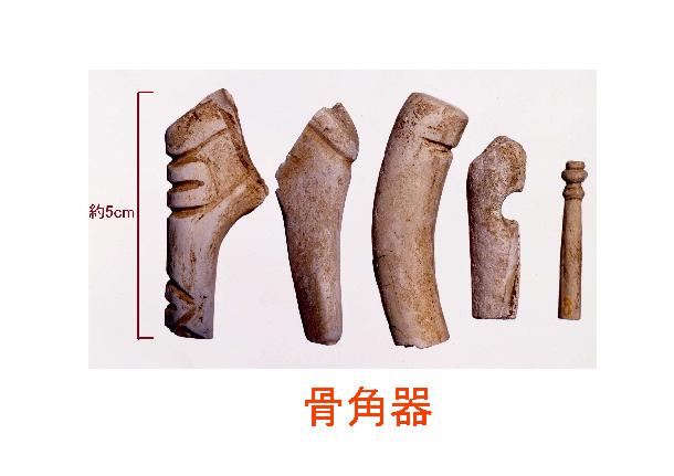 下原遺跡出土の骨角器の画像