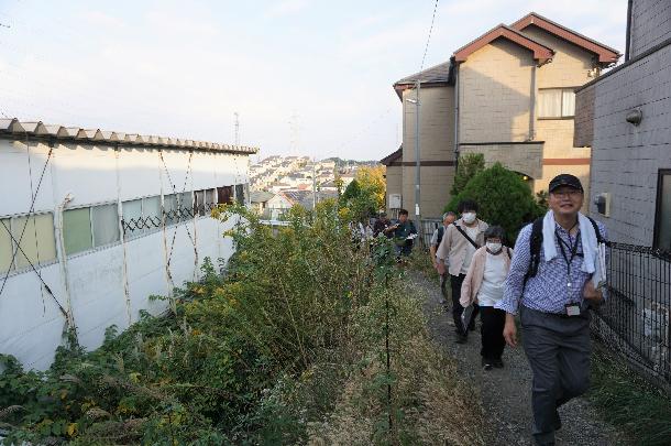 横浜市境の御嶽道を歩く