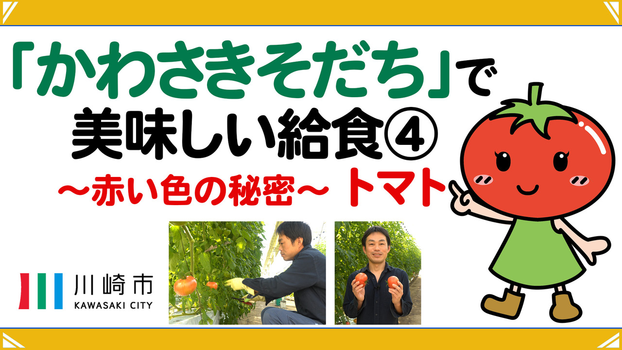 全体